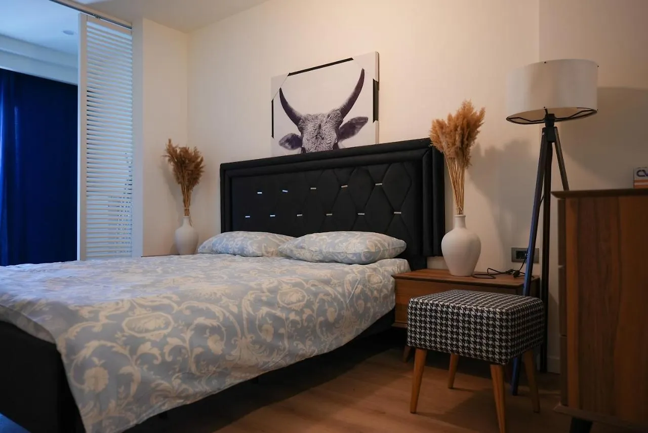 Brand Fully Furnished 1 Plus 1 Near Vadi Istanbul Mall Apartment